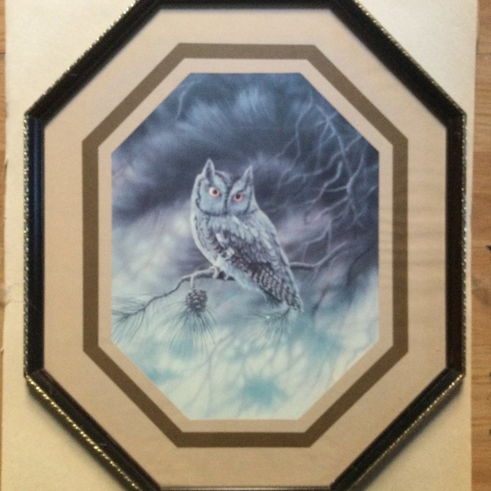 Owl print with octagon frame wall decor
